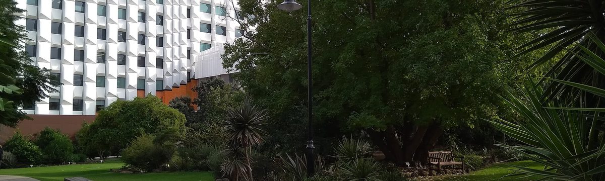 蒙納許大學 Monash University